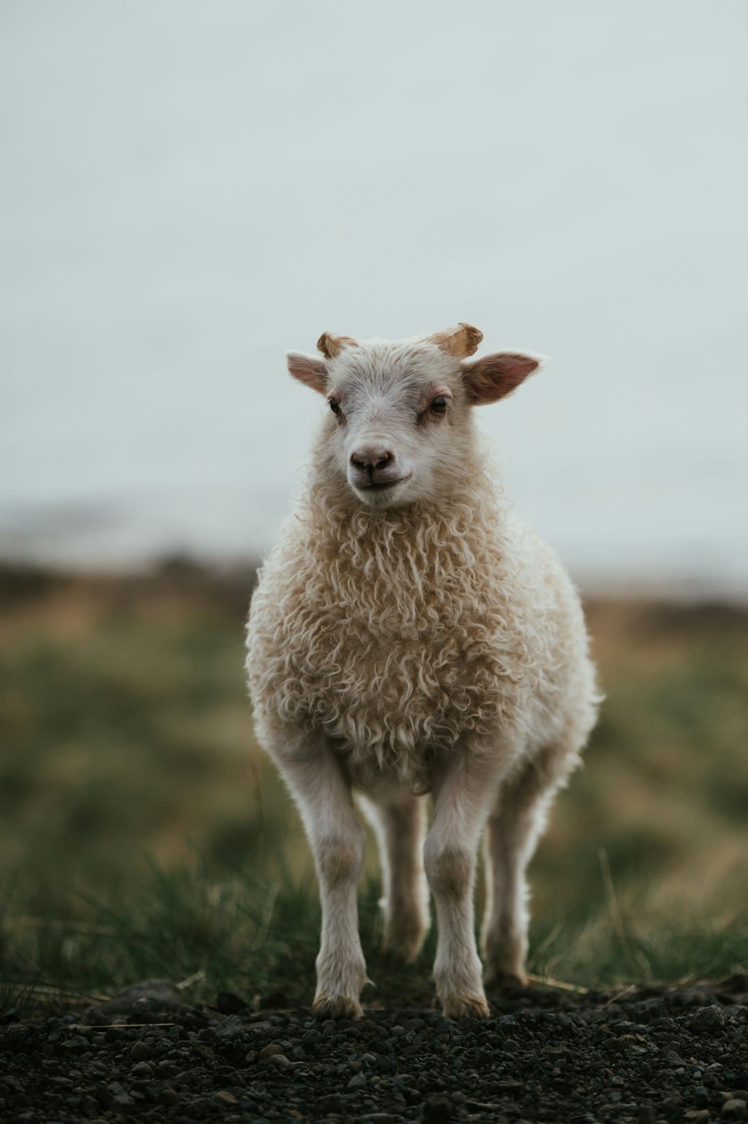 https://static.ws.126.net/163/frontend/images/2022/empty.png